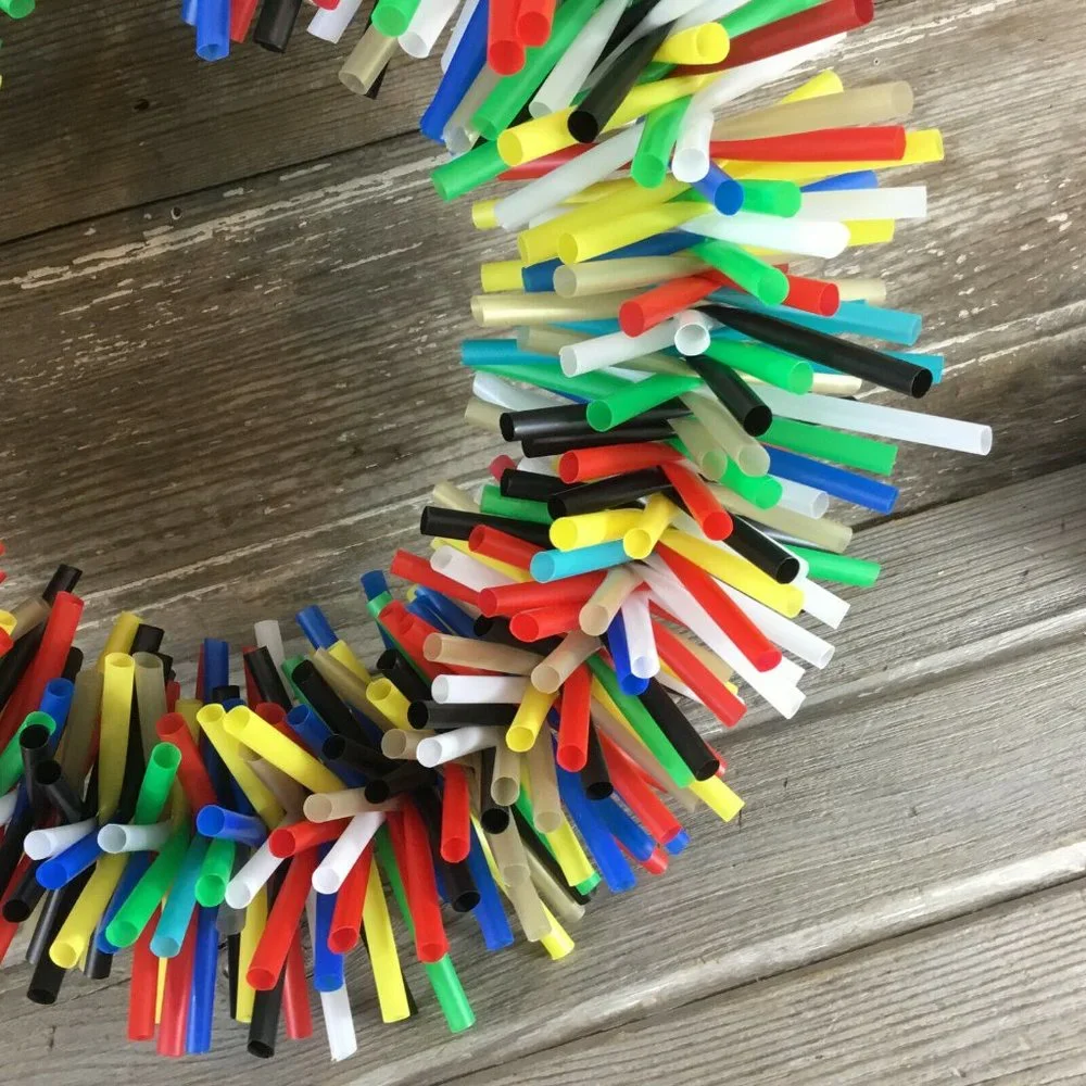 Macaw Cockatoo Silly Sid Straw Wreath Large Bird Toy - Shredding Toy